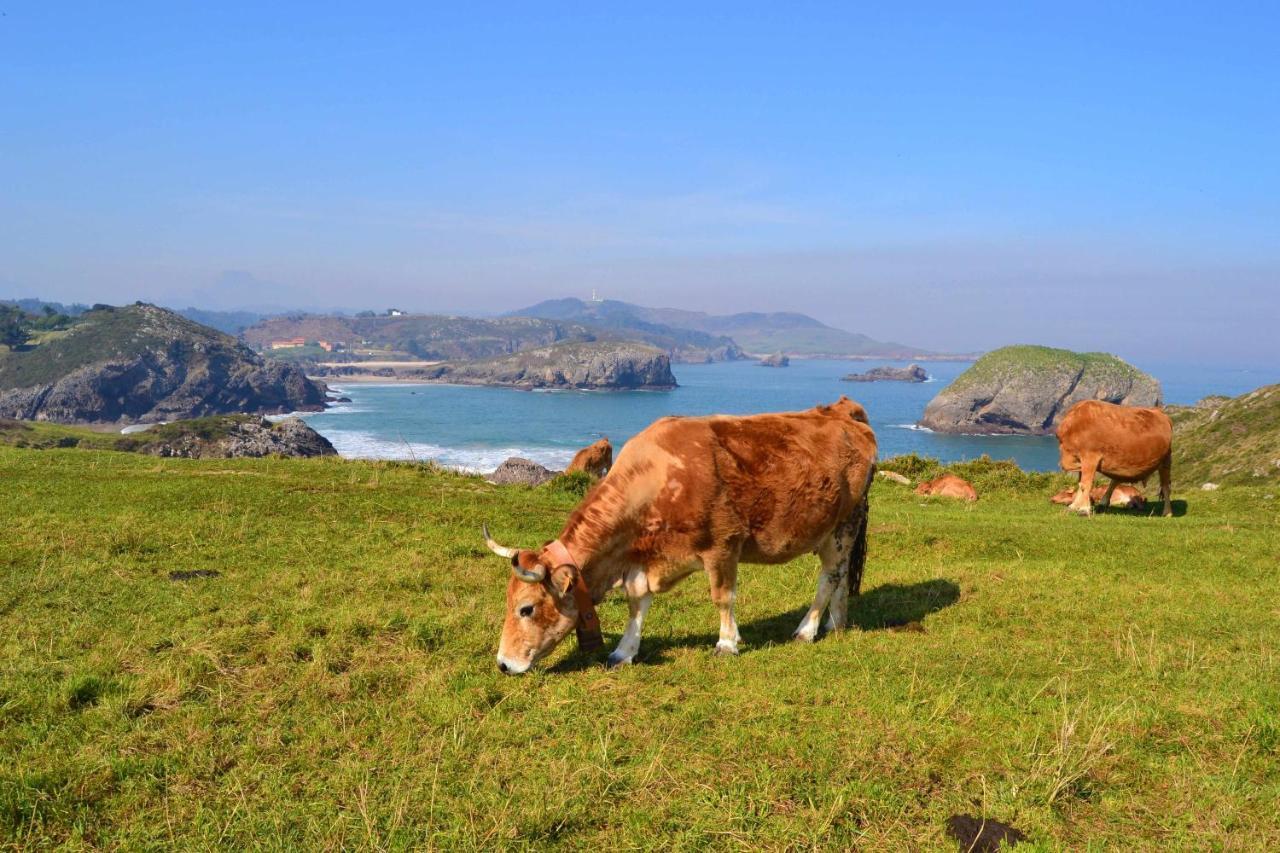 Casa Palo Balcon A Picos De Europa Villa Arriondas Ngoại thất bức ảnh