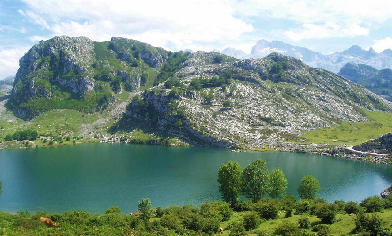 Casa Palo Balcon A Picos De Europa Villa Arriondas Ngoại thất bức ảnh